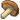 Mushroom (Legends of Heropolis).png