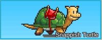 Snappish Turtle.jpg