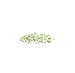 Matcha (Bonbon Cakery).png