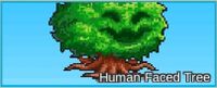 Human-Faced Tree.jpg