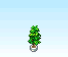 Plant - dream house days.png