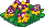 Pansies.png