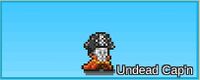 Undead Cap'n.jpg