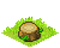 Tree Stump.png