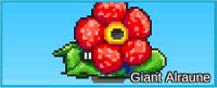 Giant Alraune.jpg