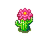 Cactus.png