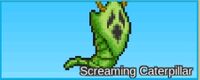 Screaming Caterpillar.jpg