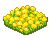 Canola Flowers.png