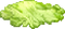 Lettuce (BBS).png