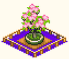 Bonsai - The Sushi Spinnery.png