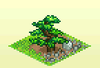 Pocket Harvest - Pine Trees.png