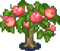 Peach Tree.png