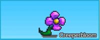 Creeperbloom.jpg