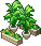 Leafy Plant - cafeteria nipponica.png