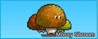 Mossy Shroom.jpg